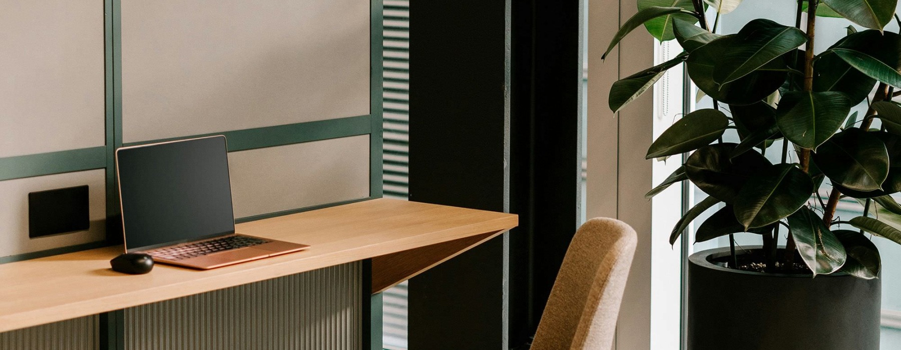 a desk with a computer and a plant near by